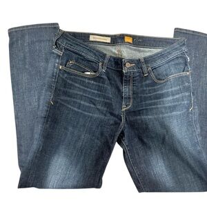 Pilcro and the Letterpress Stet Skinny Jeans